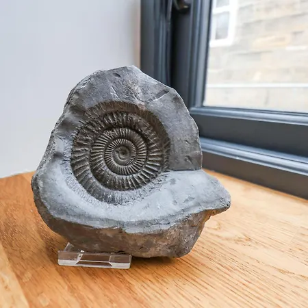 The Old Jet Workshop 펜션